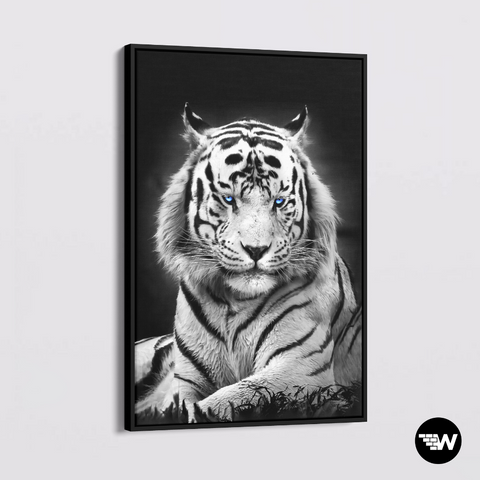 Observing White Tiger - Poster