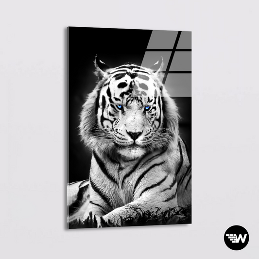 Observing White Tiger - Glass